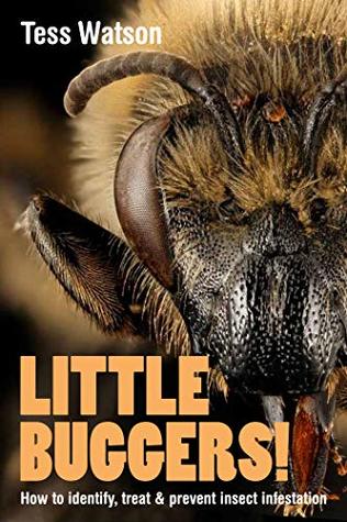Little Buggers!: How To Identify, Treat and Prevent Insect Infestation by Tess Watson Review