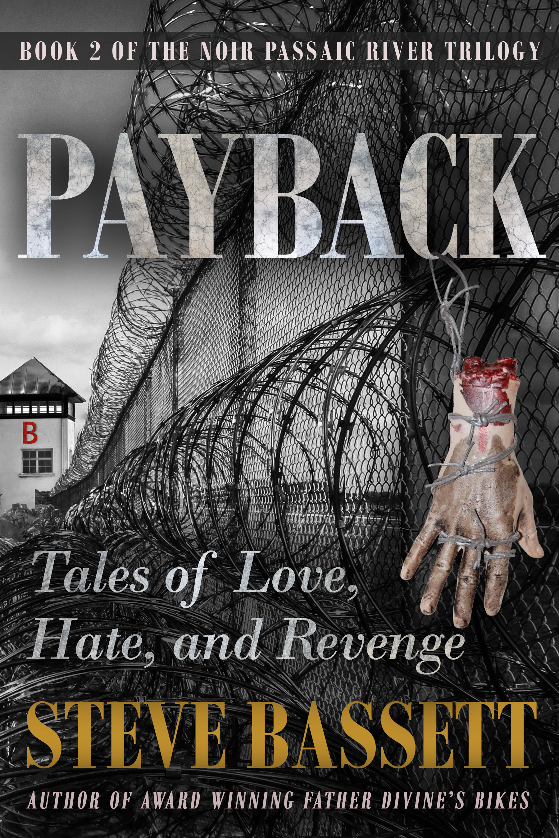 Payback – Tales of Love, Hate and Revenge by Steve Bassett Review