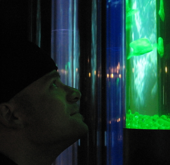 Interview with Author Dieter Ryckewaert