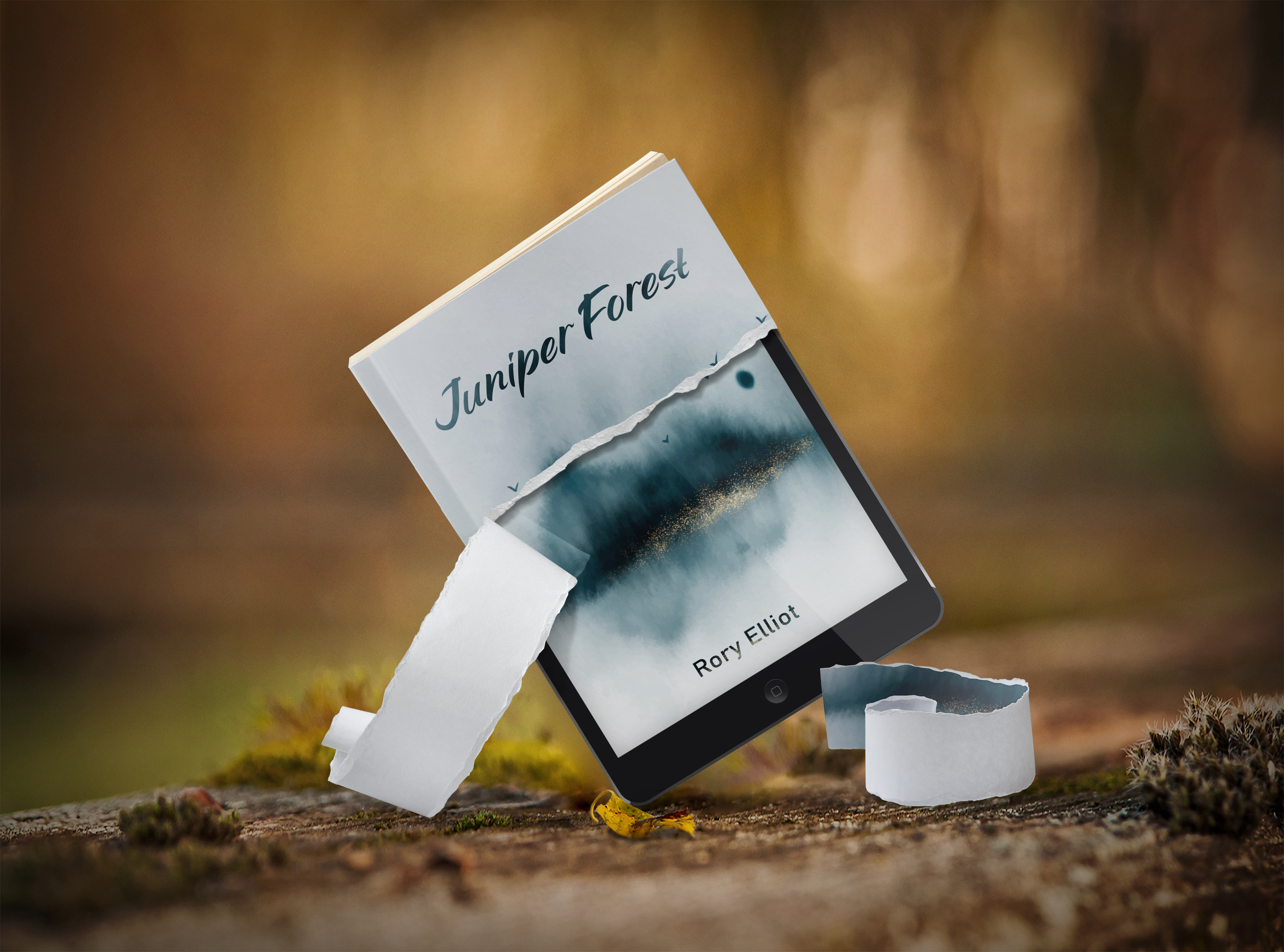 Juniper Forest by Rory Elliot Review