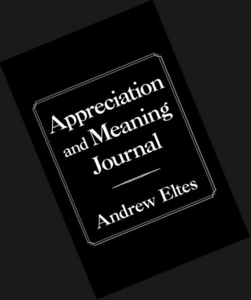 Appreciation and Meaning Journal by Andrew Eltes Review