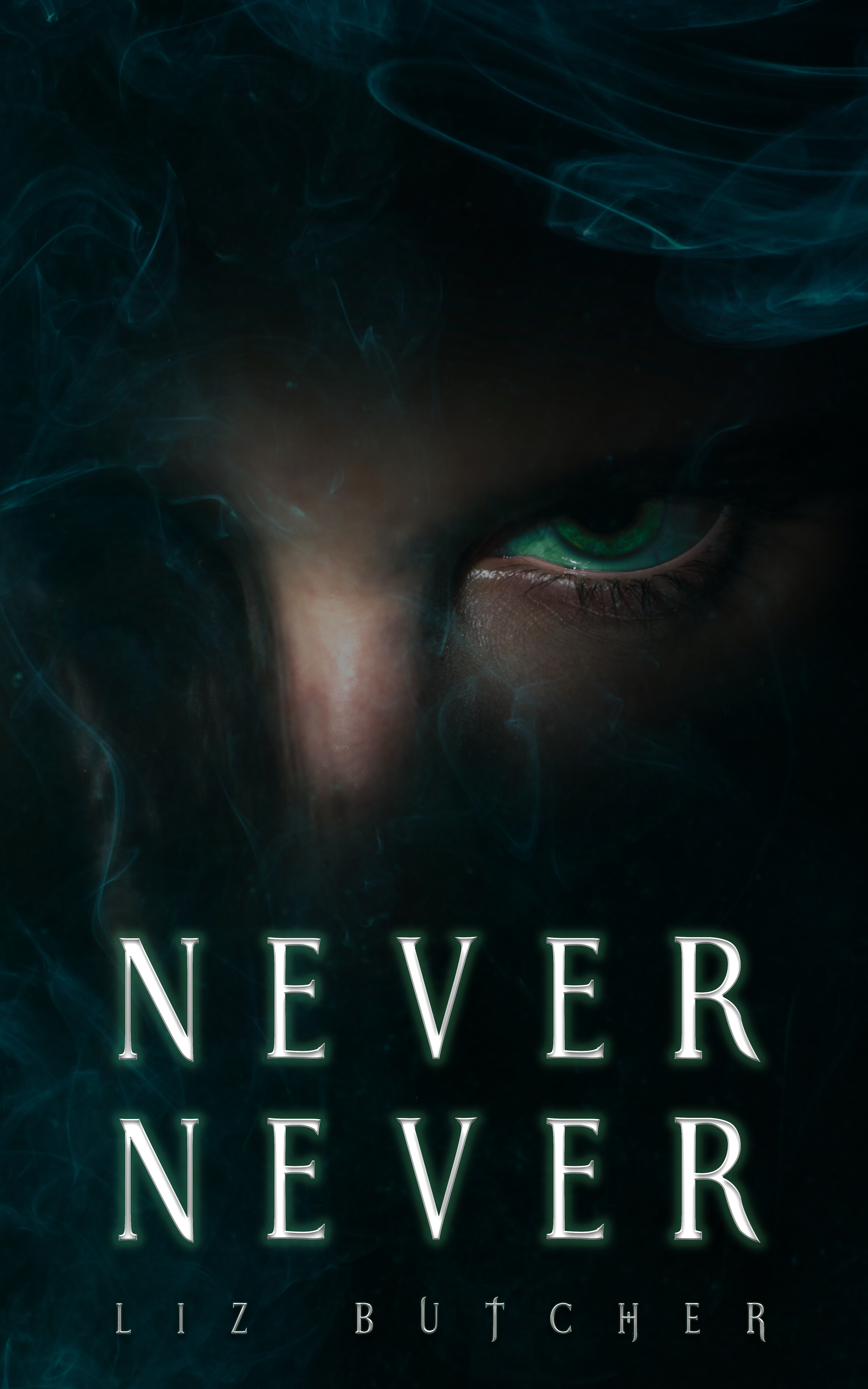 Never Never by Liz Butcher
