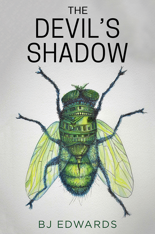 The Devil’s Shadow by BJ Edwards Review