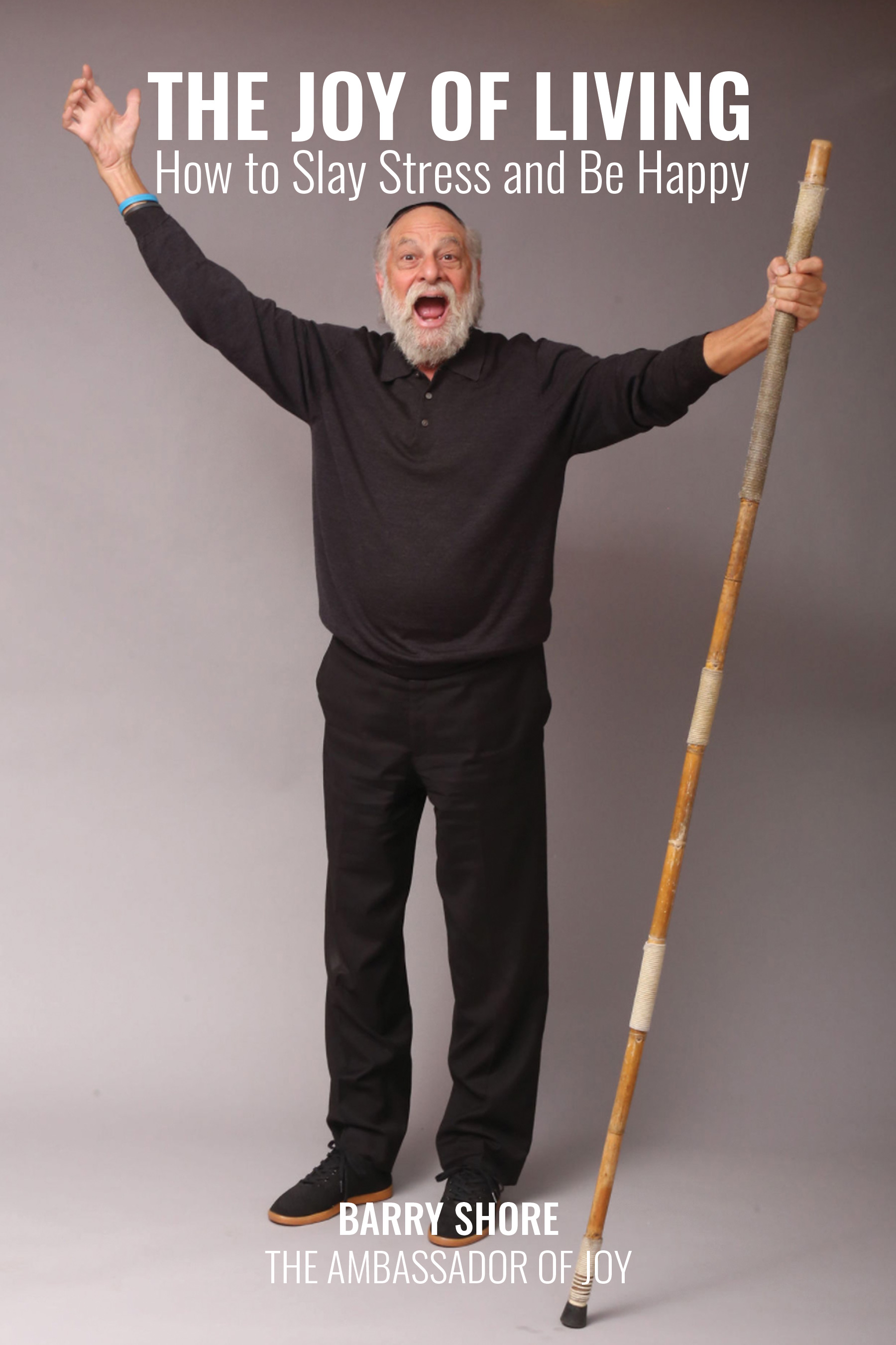 The Joy of Living: How to Slay Stress and Be Happy by Barry Shore Review