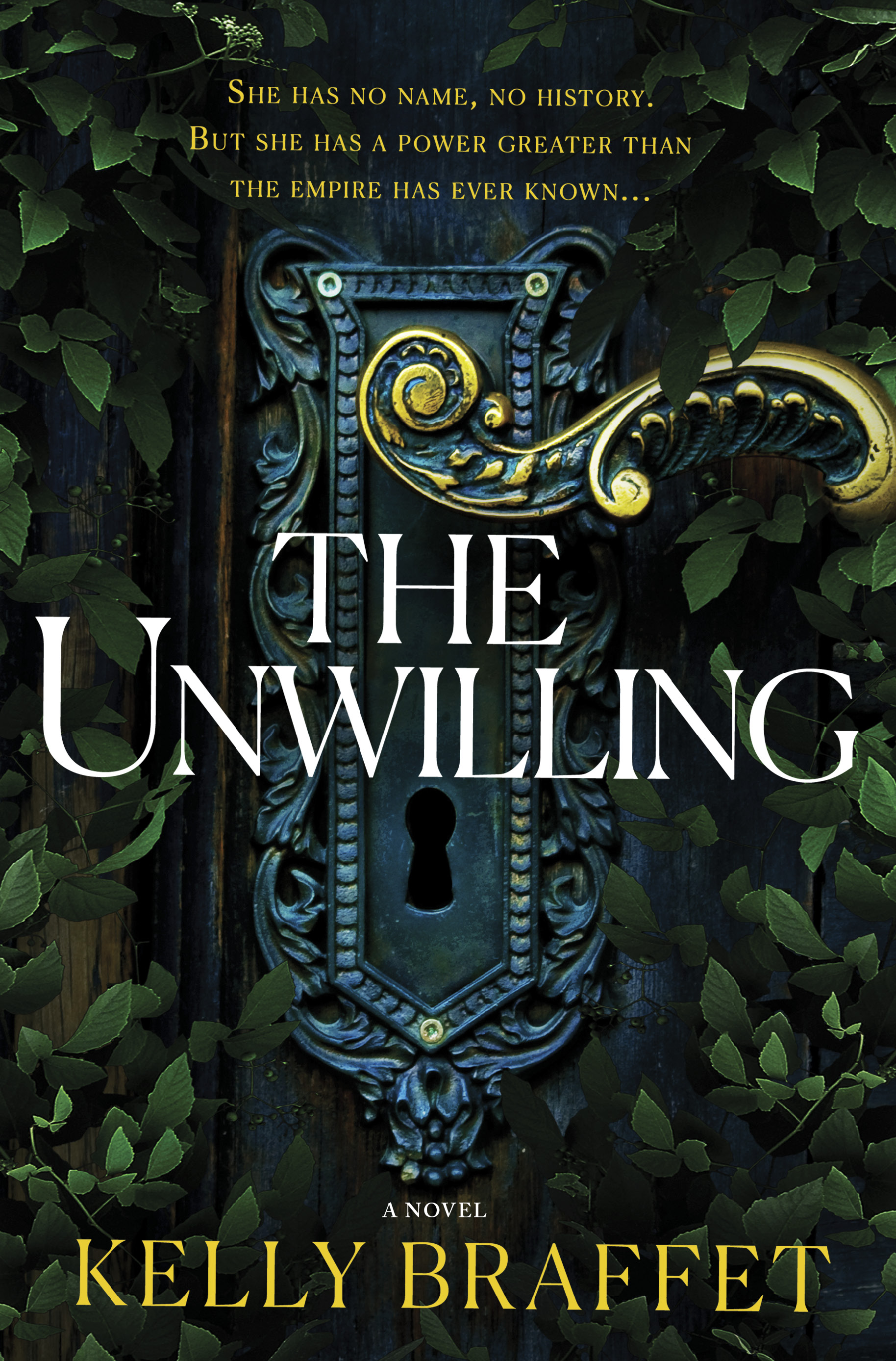 The Unwilling (The Barrier Lands #1) by Kelly Braffet Review