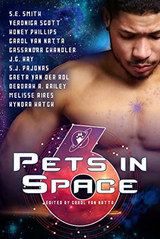 Pets in Space 6 Review