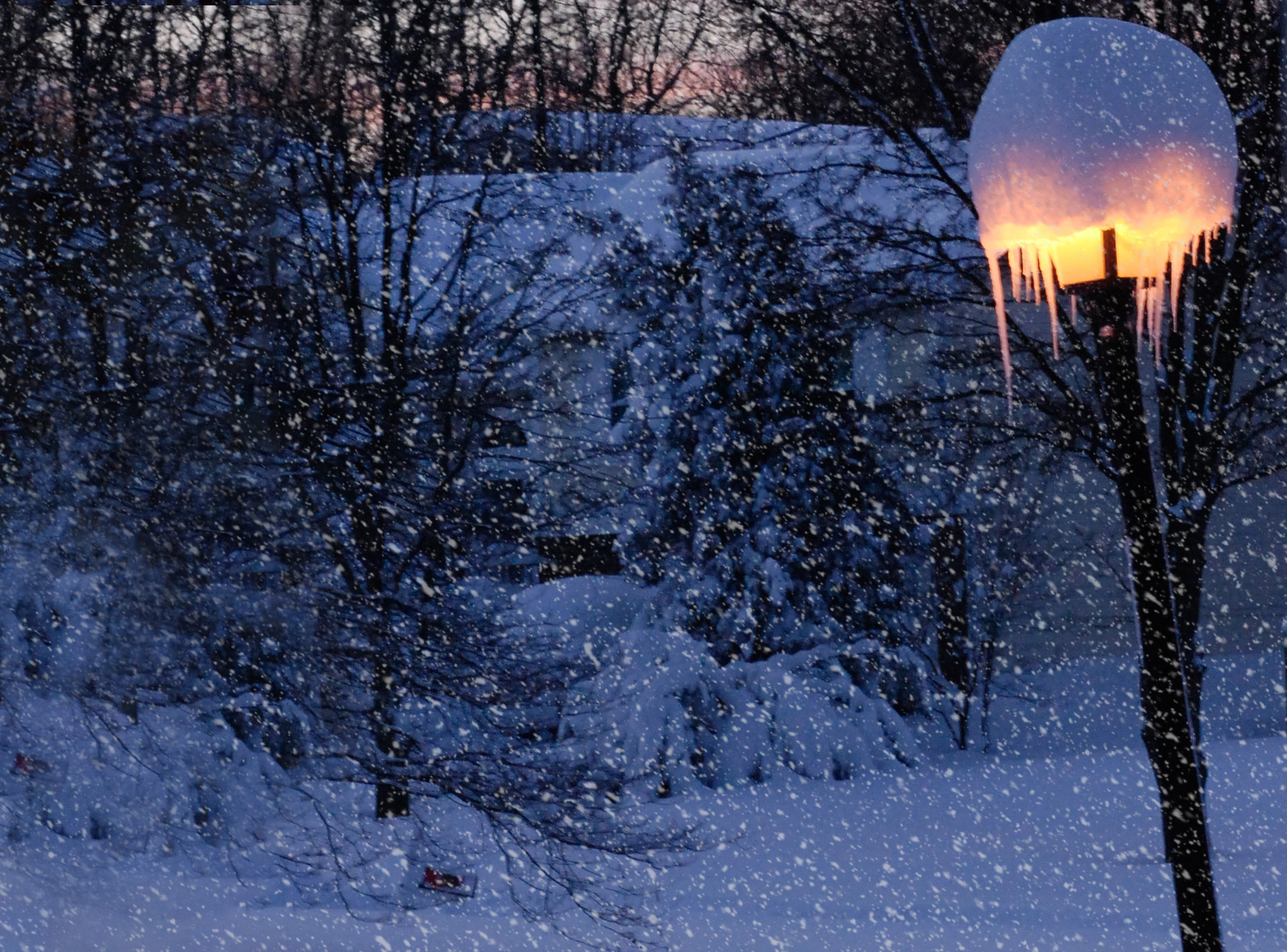 Winter at a Summer House by Mary Beth Hines Review