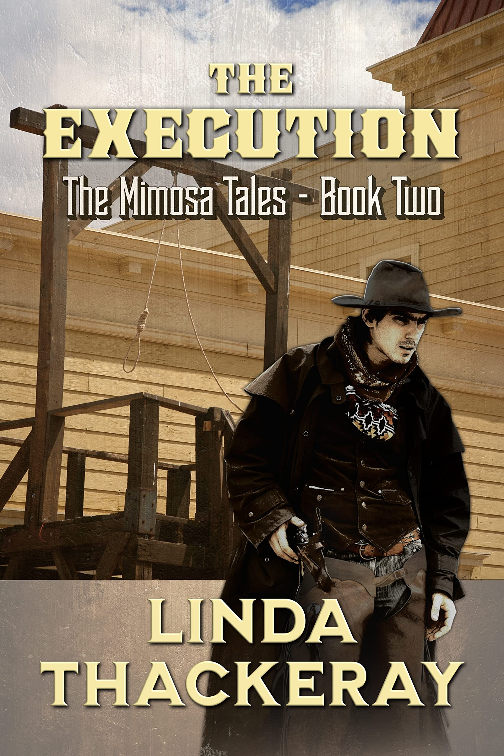 The Execution (The Mimosa Tales Book Two) by Linda Thackeray Review