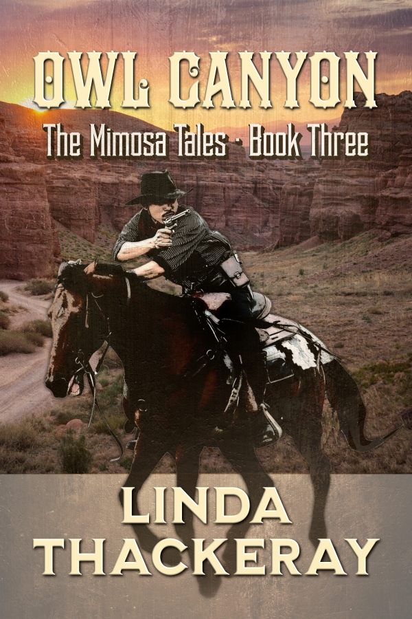 Owl Canyon (The Mimosa Tales Book Three) by Linda Thackeray Review