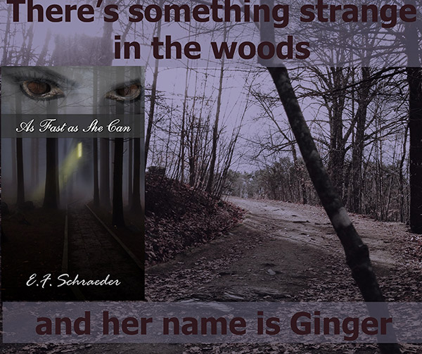 As Fast As She Can by E.F. Schraeder Review