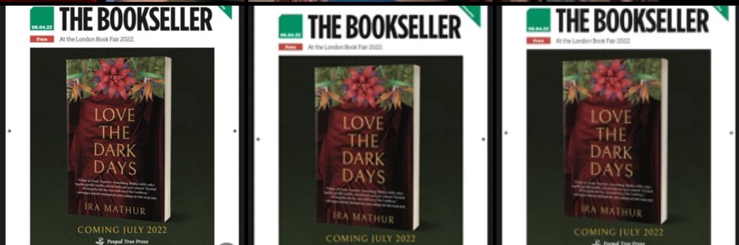 Love The Dark Days by Ira Mathur Review