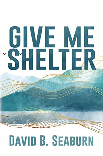 Give Me Shelter by David B. Seaburn Review 