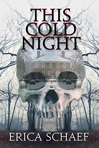 This Cold Night by Erica Schaef Review 