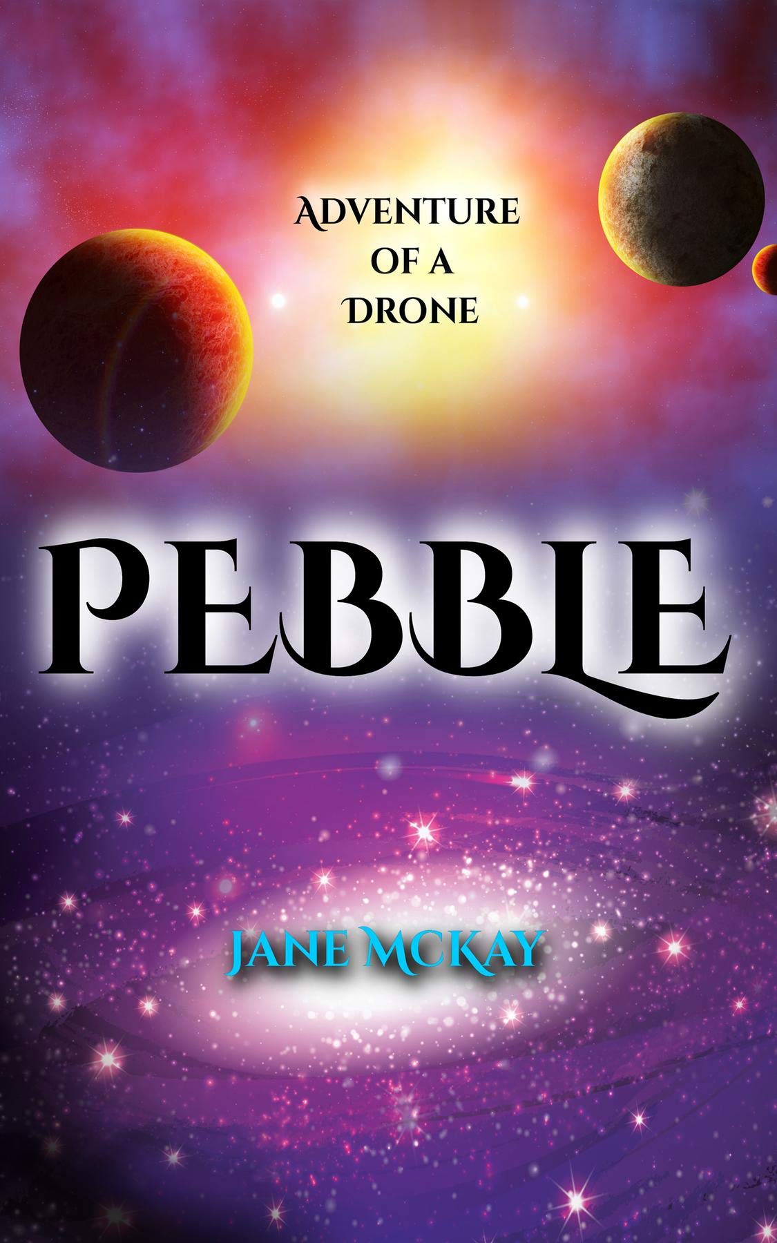 Pebble Adventure of a Drone by Jane McKay Review