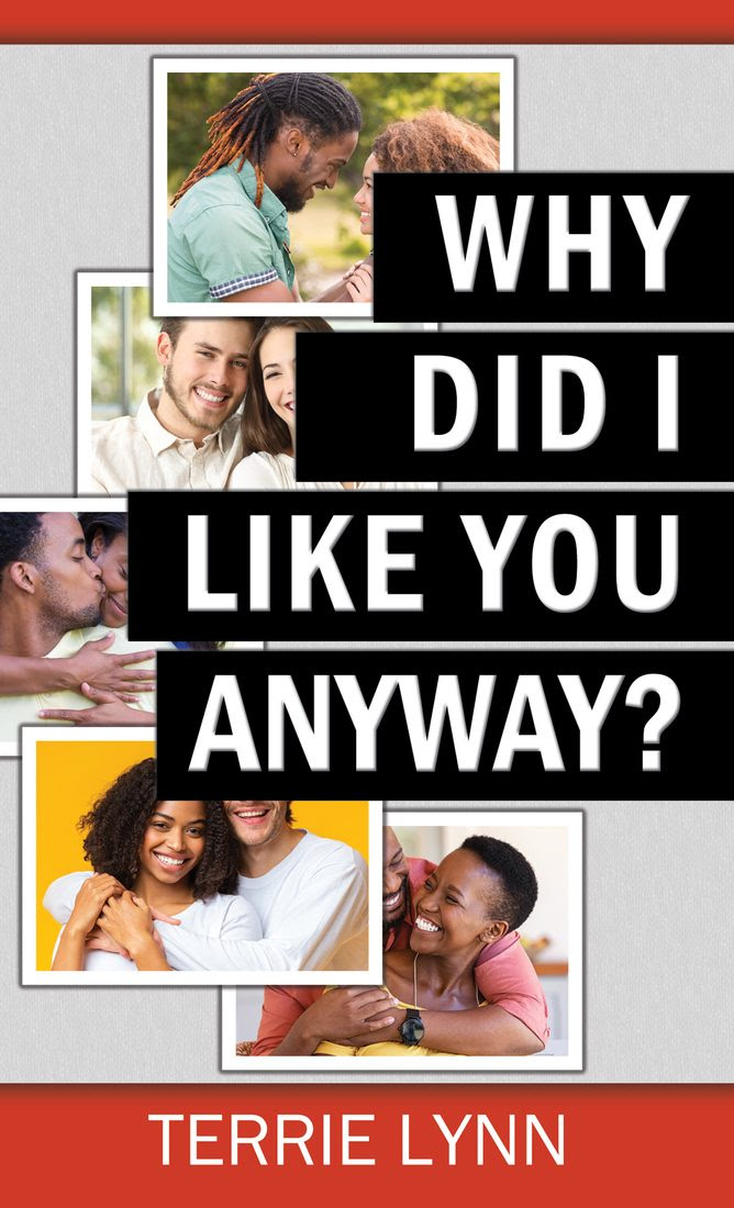 Why Did I Like You Anyway? By Terrie Lynn Review
