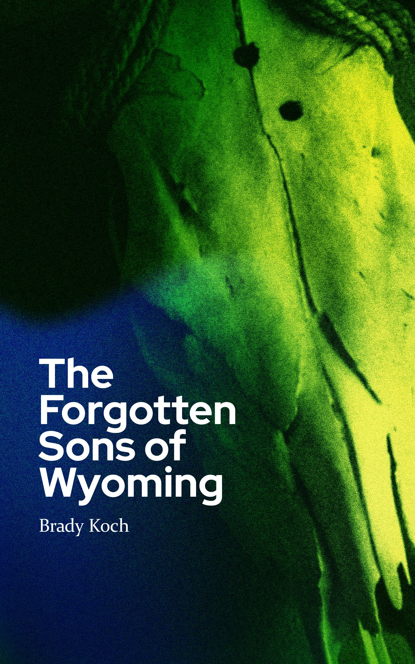 The Forgotten Sons of Wyoming (All Our Forgotten Futures Book 2) by Brady Koch Review