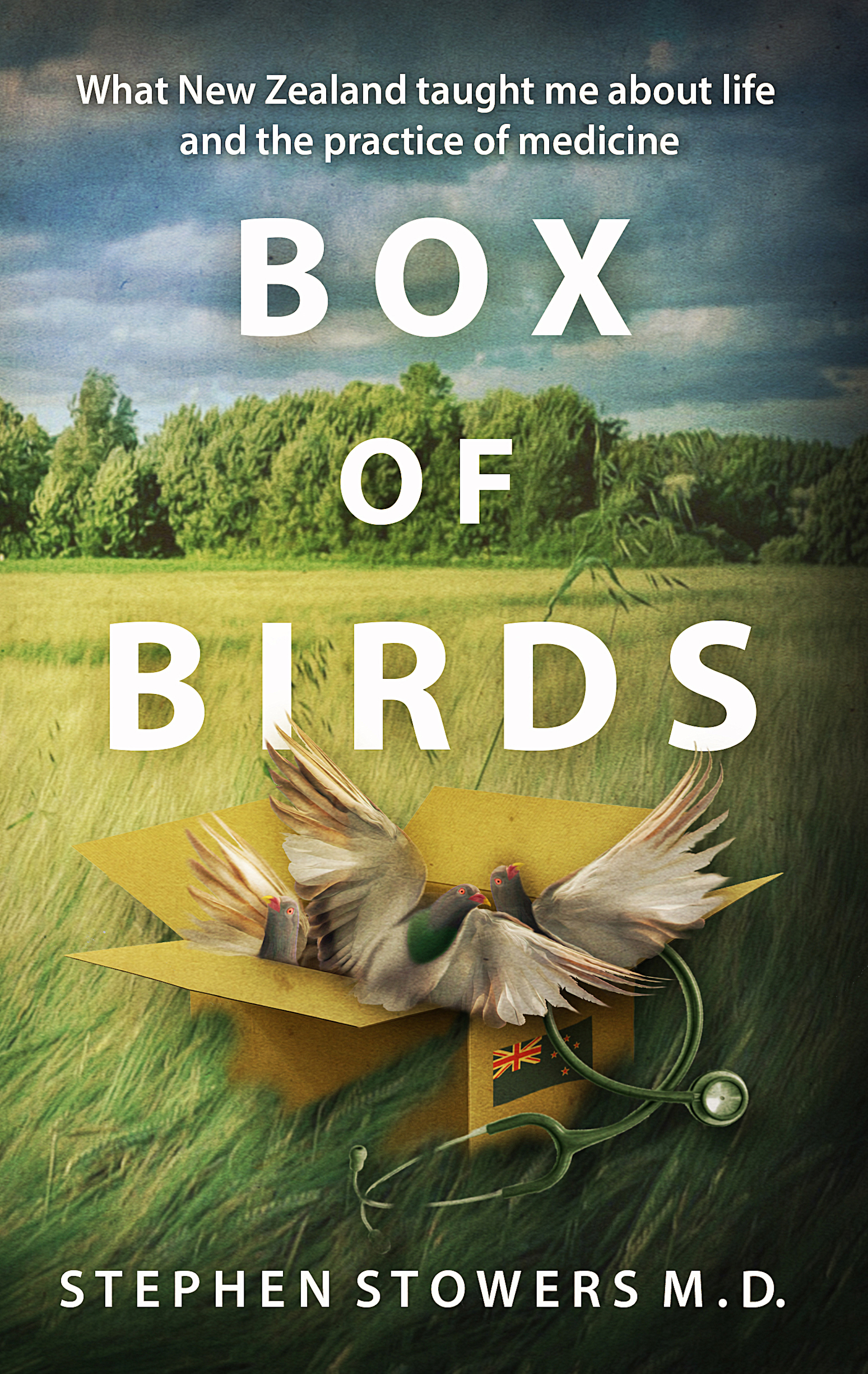 Box of Birds by Stephen Stowers M.D. Review