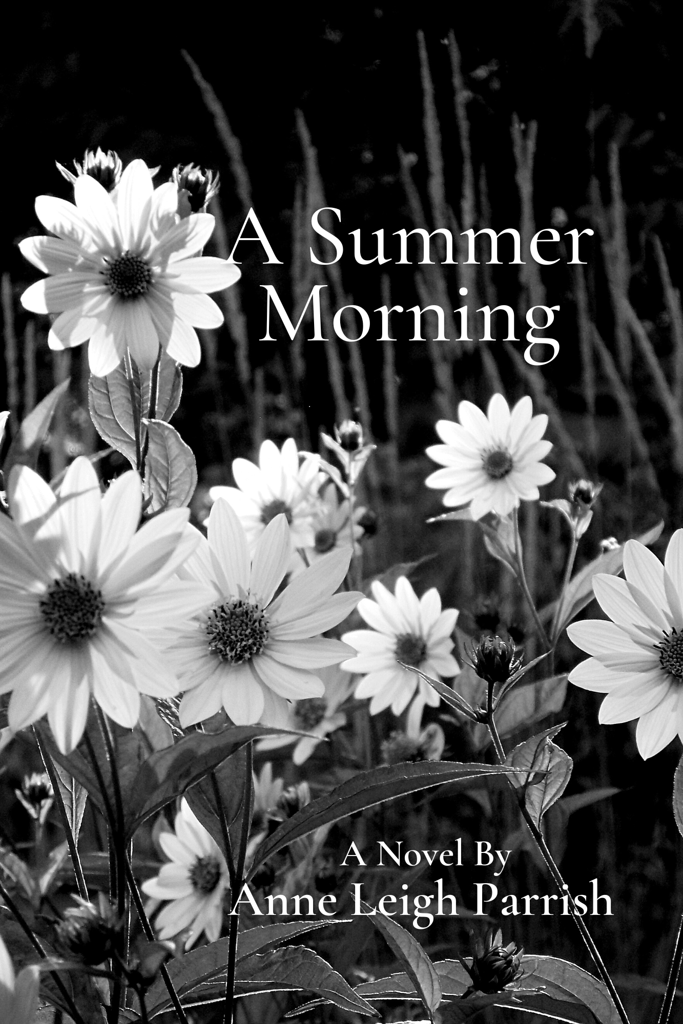 A Summer Morning by Anne Leigh Parrish Review