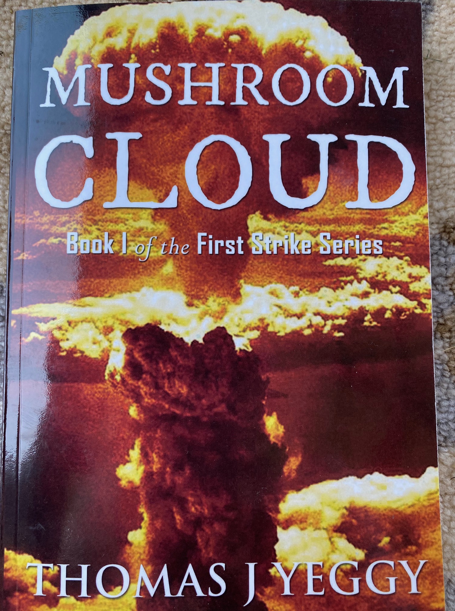 Mushroom Cloud: First Strike Series Book One by Thomas J. Yeggy Review