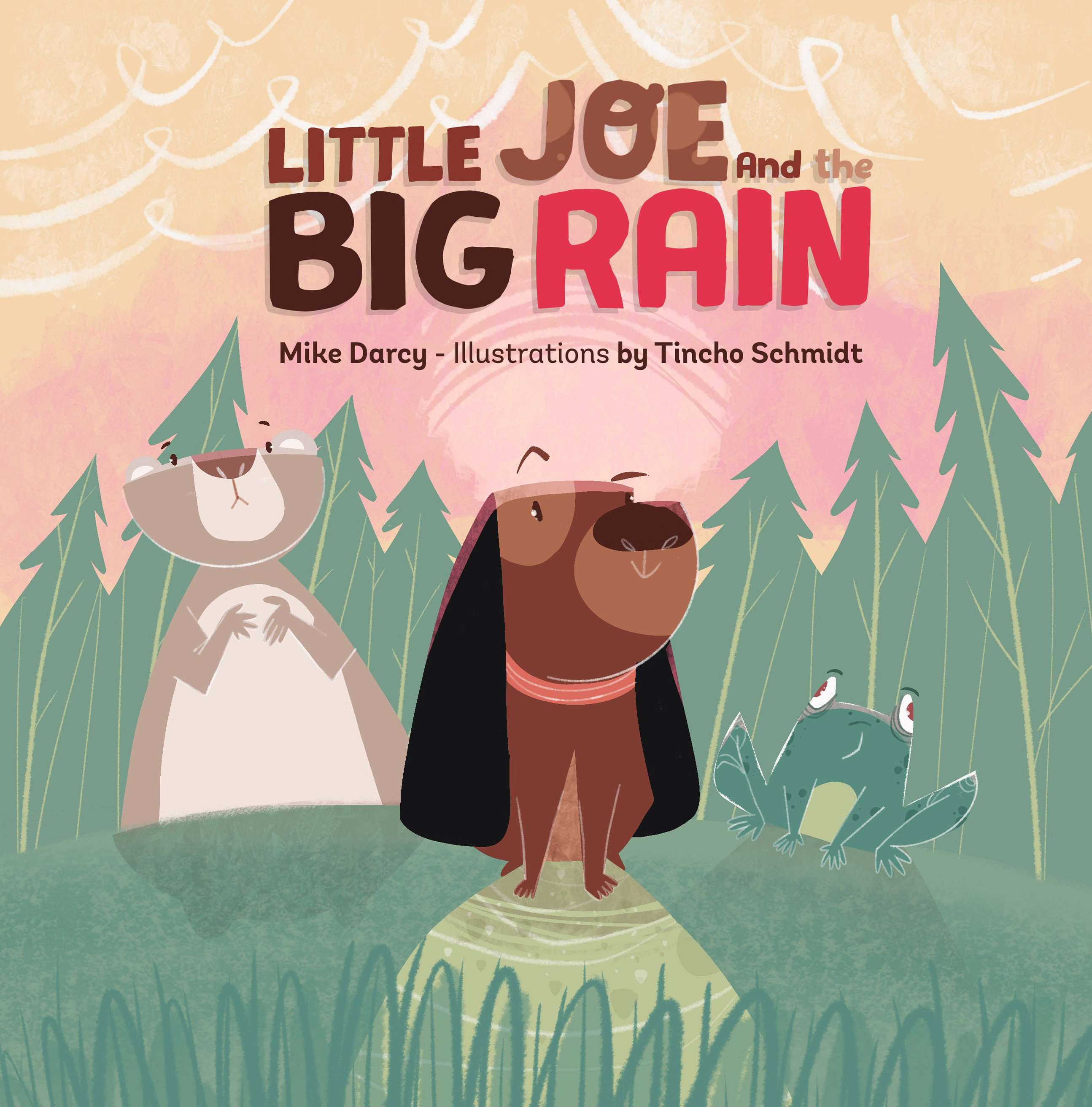 Little Joe and the Big Rain by Mike J. Darcy (Illustrated by Tincho Schmidt) Review