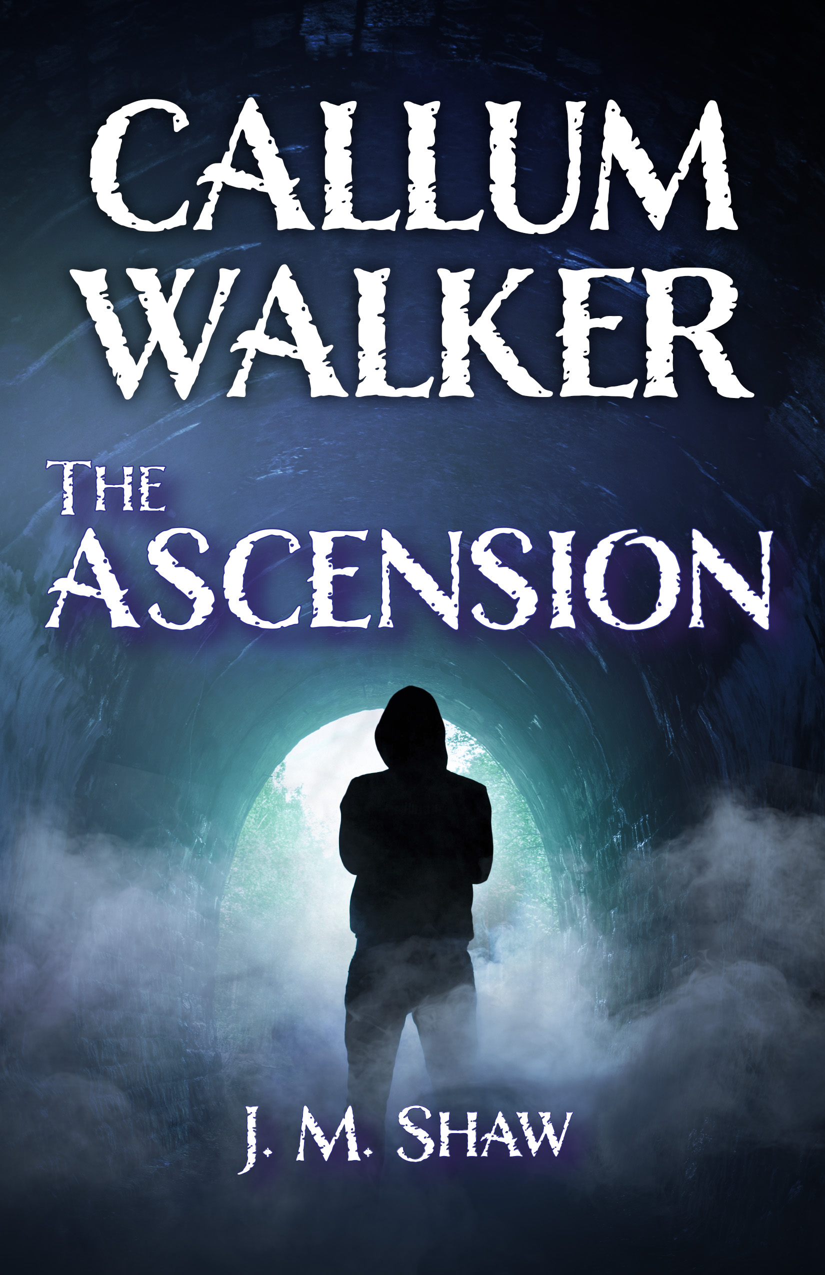 The Ascension (Callum Walker Book One) by J.M. Shaw Review
