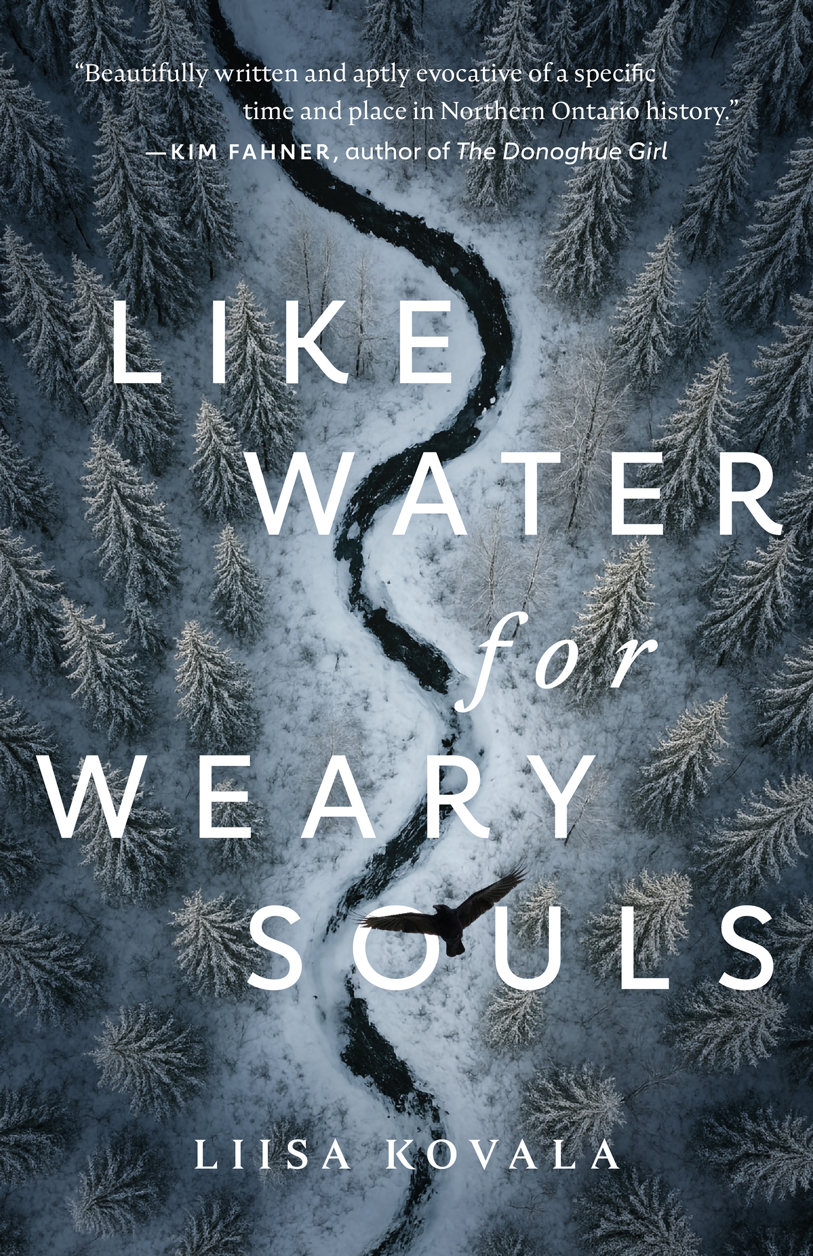 Like Water For Weary Souls by Liisa Kovala Review
