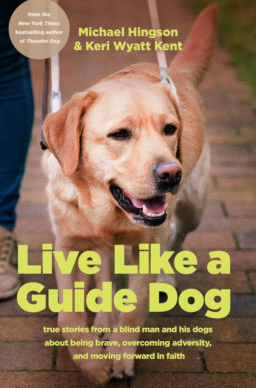 Live Like a Guide Dog by Keri Wyatt Kent and Michael Hingson Review