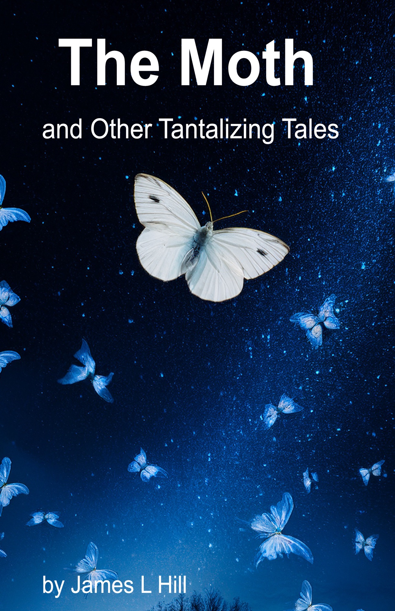 Interview with Author James L Hill