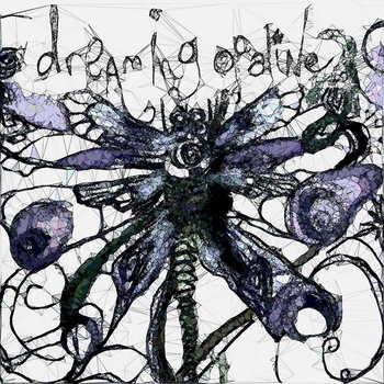 Across Phoenix&nbsp; “We Are Echos” Single REVIEW