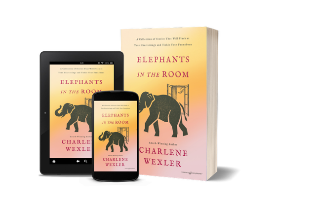 ELEPHANTS IN THE ROOM BY CHARLENE WEXLER REVIEW