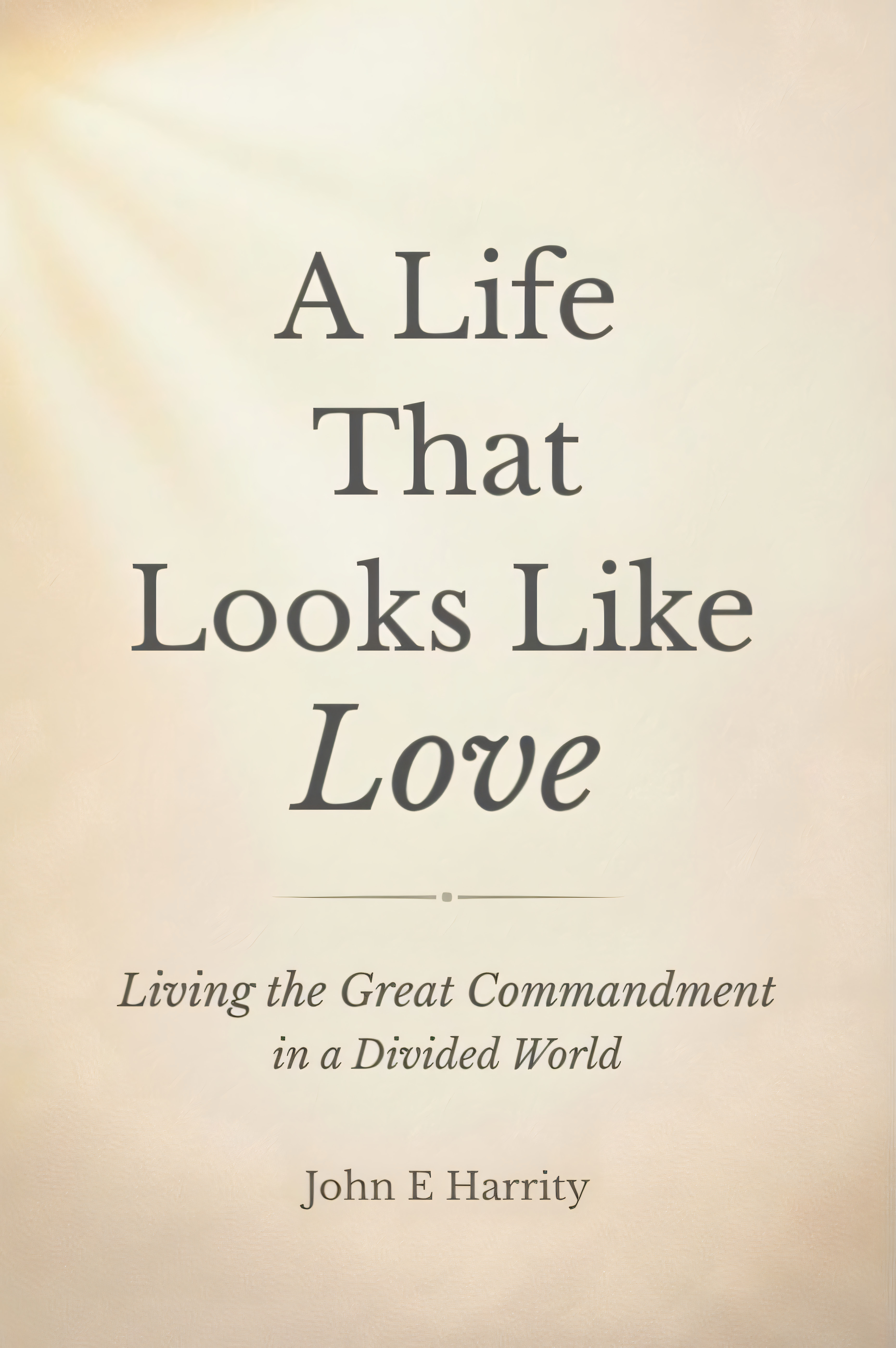 A LIFE THAT LOOKS LIKE LOVE BY JOHN HARRITY REVIEW
