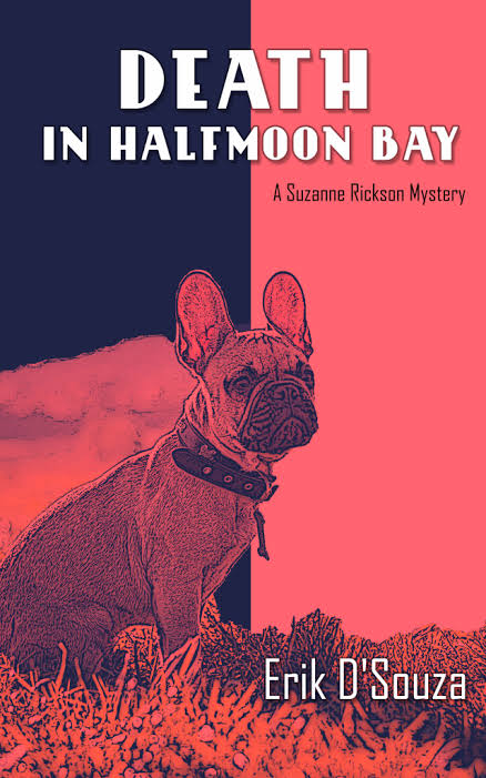 BOOK SERIES RECAP: SUZANNE RICKSON MYSTERY SERIES